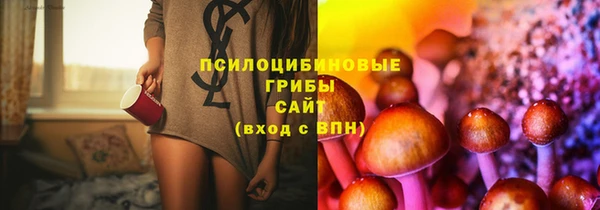 PSILOCYBIN Баксан