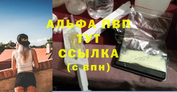 PSILOCYBIN Баксан