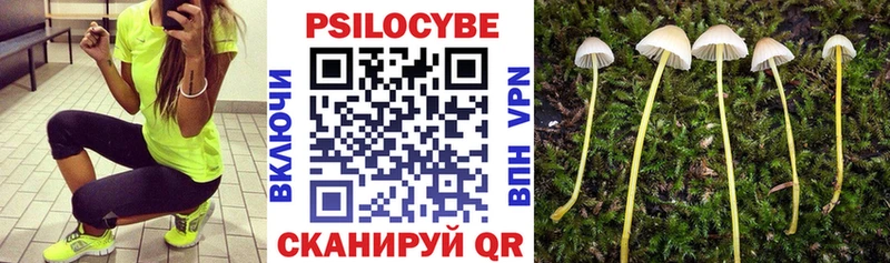 МЕГА рабочий сайт  Обоянь  Псилоцибиновые грибы прущие грибы 
